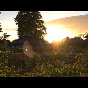 Meet your Posher, April